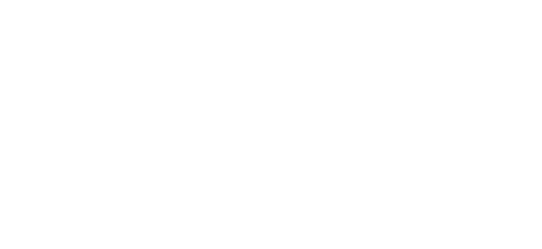 Logo-Apira_biale
